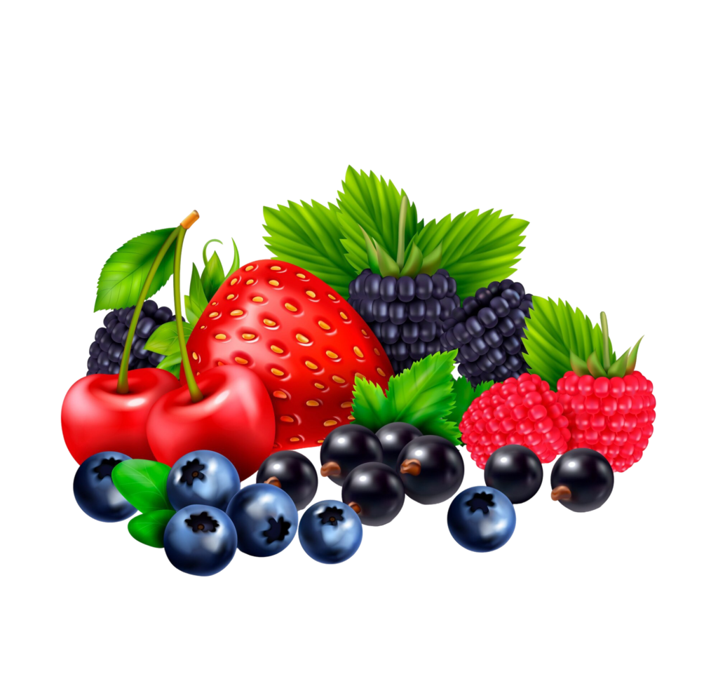 weightlosshealthlab
